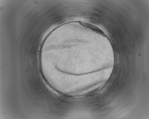 X0000067901151200605111910