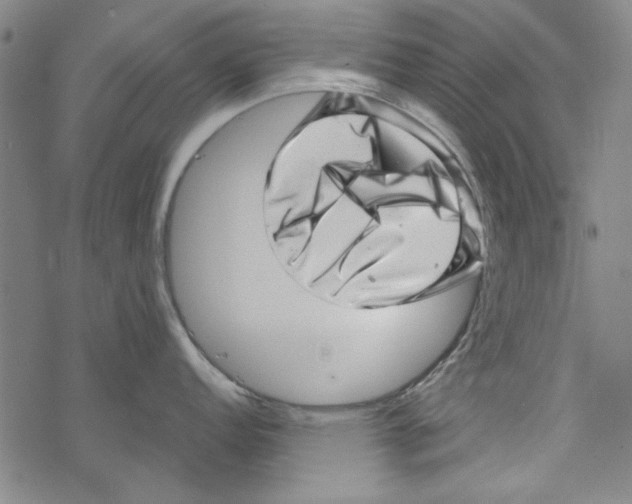 X0000067901152200605111910