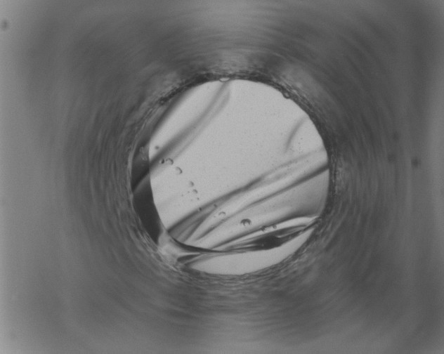 X0000067901153200605111910