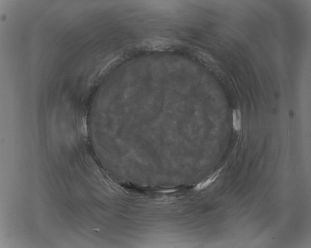 X0000067901155200605111910