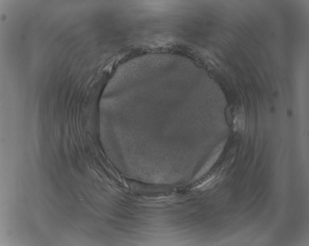 X0000067901156200605111910