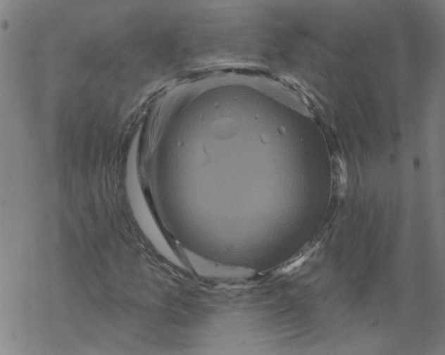 X0000067901157200605111910