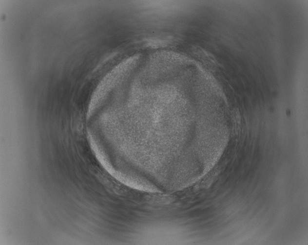 X0000067901158200605111910