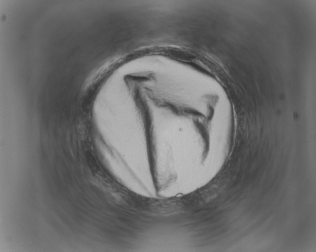 X0000067901159200605111910