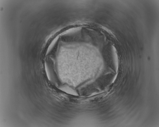 X0000067901160200605111910