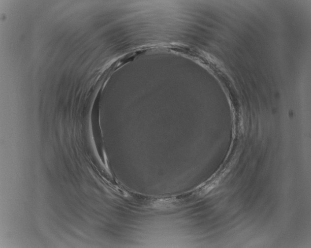 X0000067901161200605111910