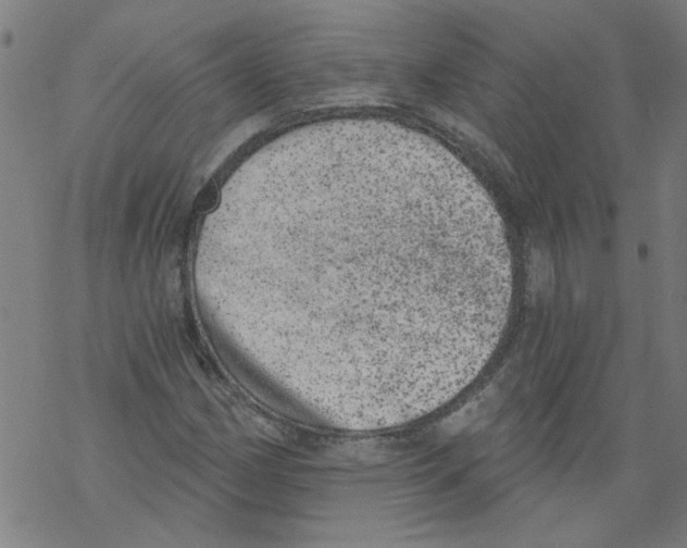 X0000067901162200605111910