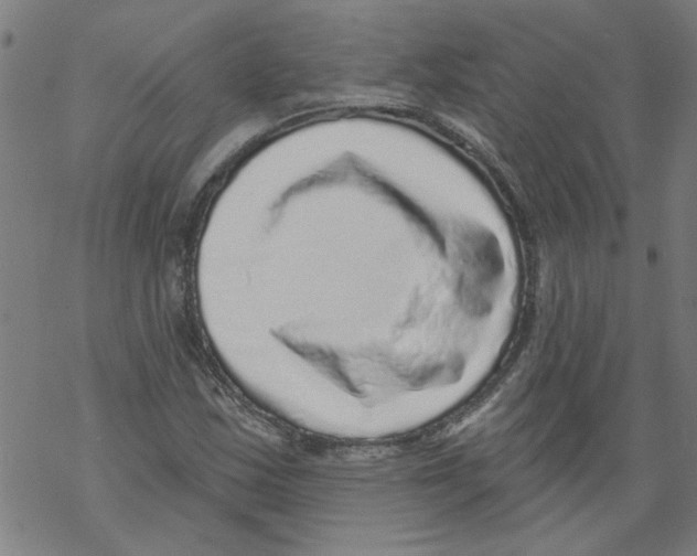 X0000067901163200605111910