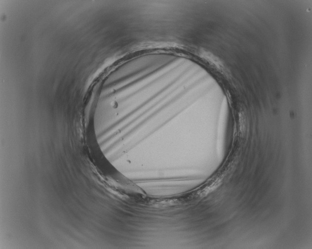 X0000067901165200605111909