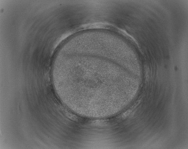 X0000067901166200605111909