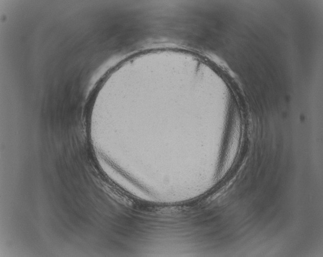 X0000067901167200605111909