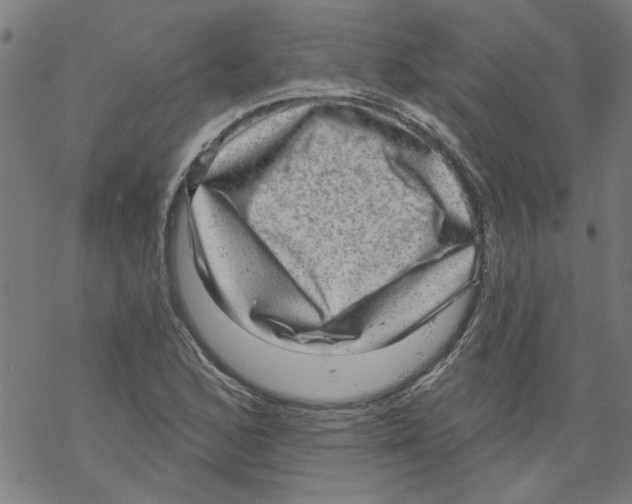 X0000067901168200605111909