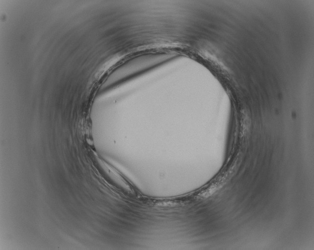 X0000067901169200605111909