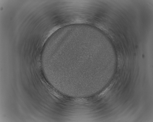 X0000067901170200605111909