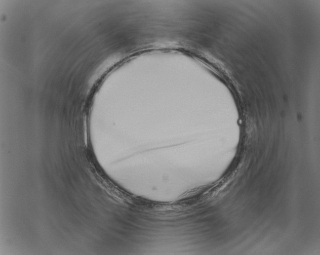 X0000067901171200605111909