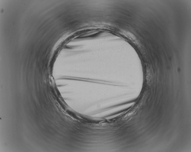 X0000067901172200605111909