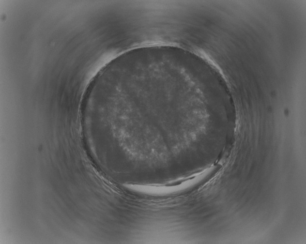 X0000067901173200605111909