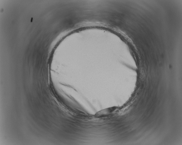 X0000067901175200605111909