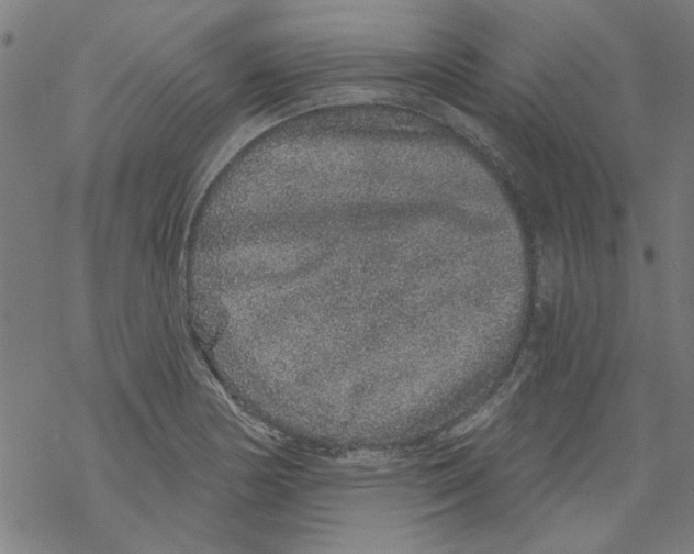 X0000067901178200605111909