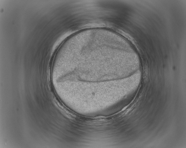 X0000067901179200605111909