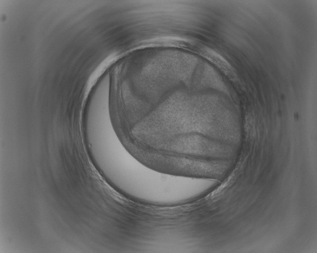 X0000067901180200605111909