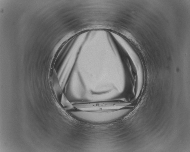 X0000067901181200605111909