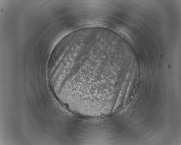 X0000067901182200605111909