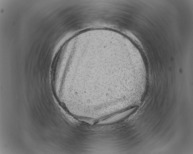 X0000067901183200605111909