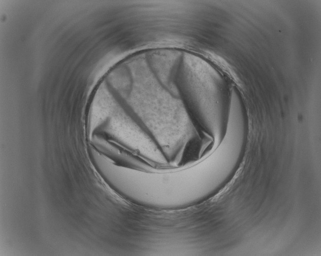 X0000067901184200605111909