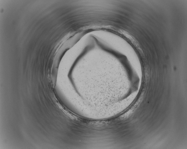 X0000067901185200605111909