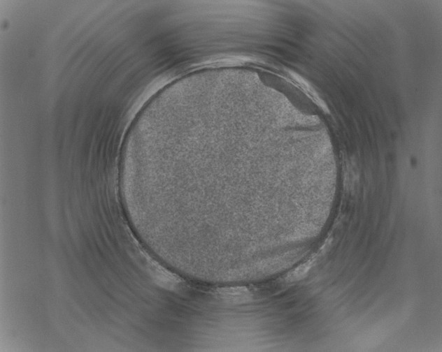 X0000067901186200605111909