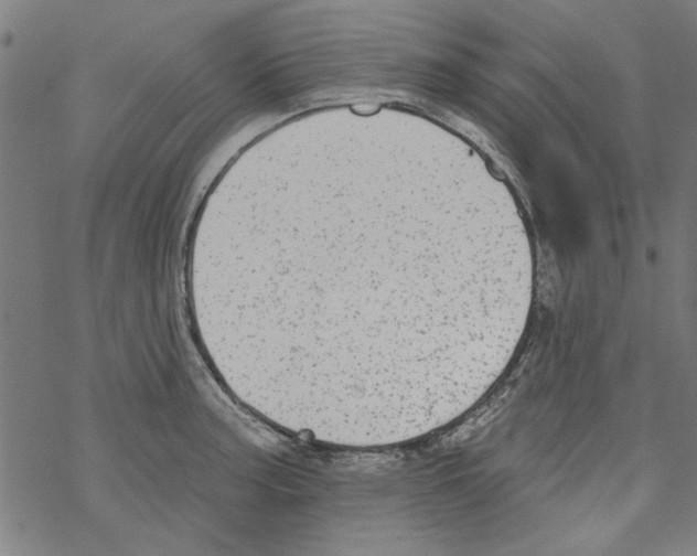 X0000067901187200605111909