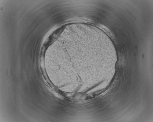 X0000067901188200605111909