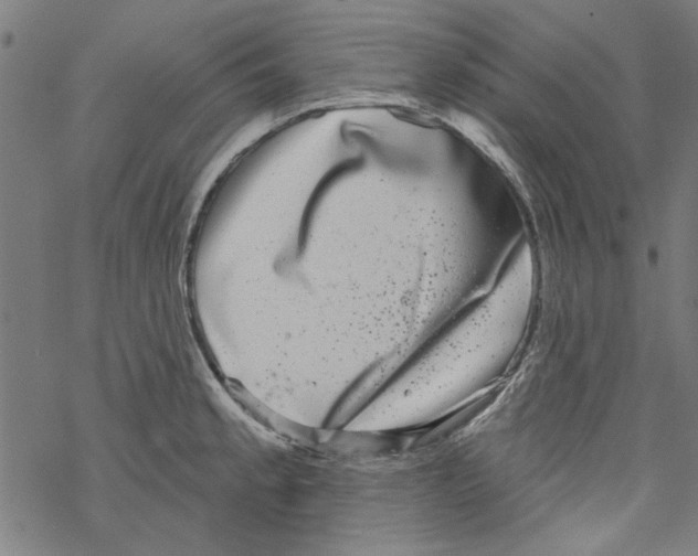 X0000067901189200605111909