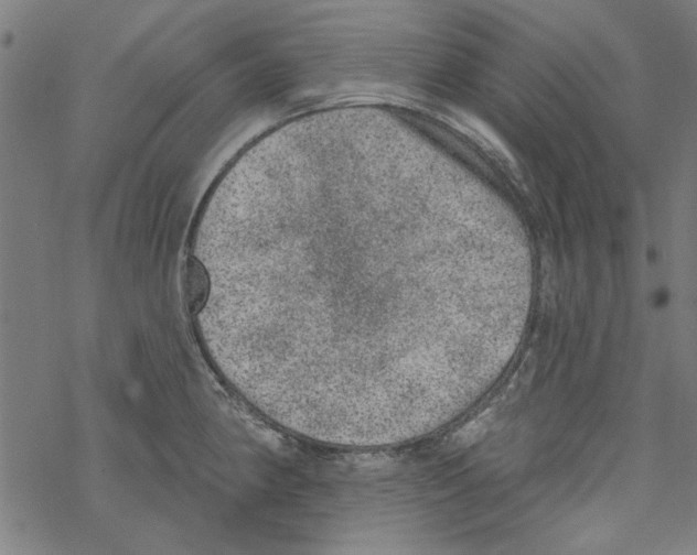 X0000067901190200605111909