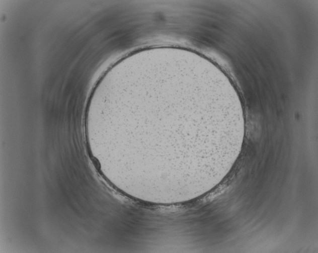 X0000067901191200605111909