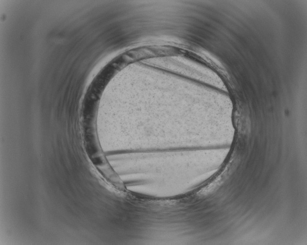 X0000067901192200605111909