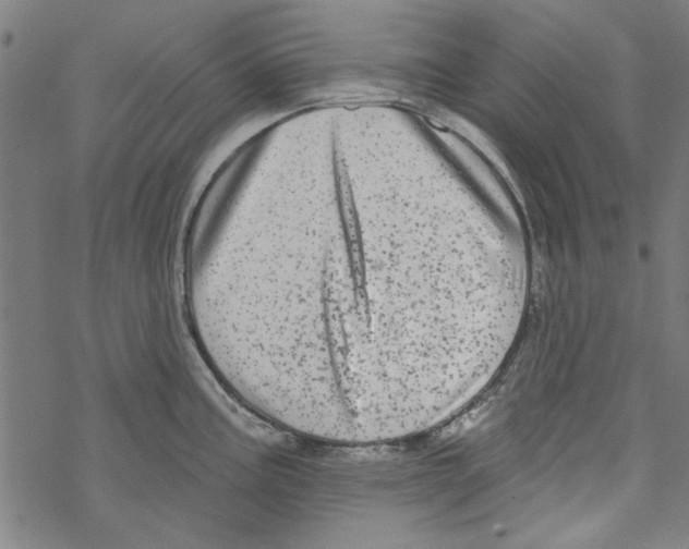 X0000067901195200605111909