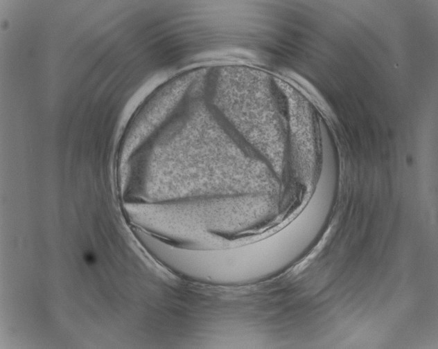 X0000067901196200605111909