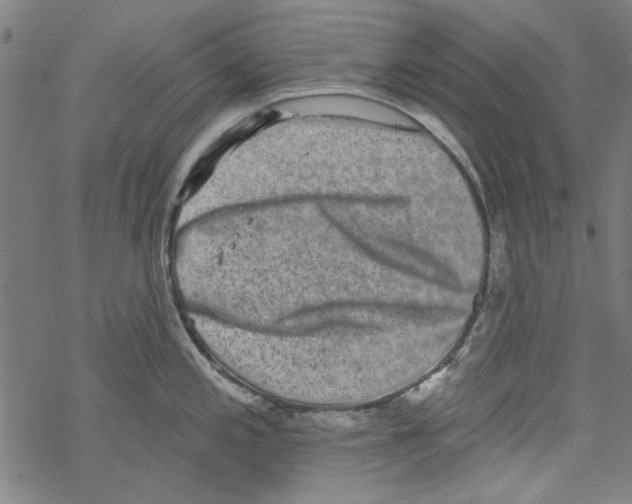 X0000067901197200605111909