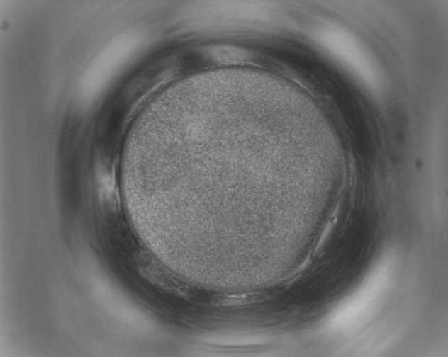 X0000067901198200605111909