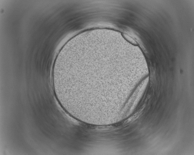 X0000067901199200605111909