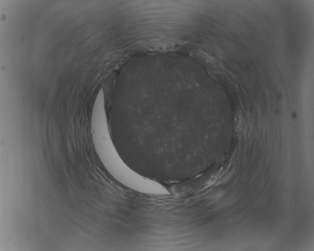 X0000067901202200605111908