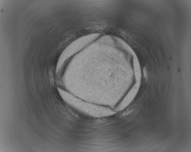 X0000067901203200605111908