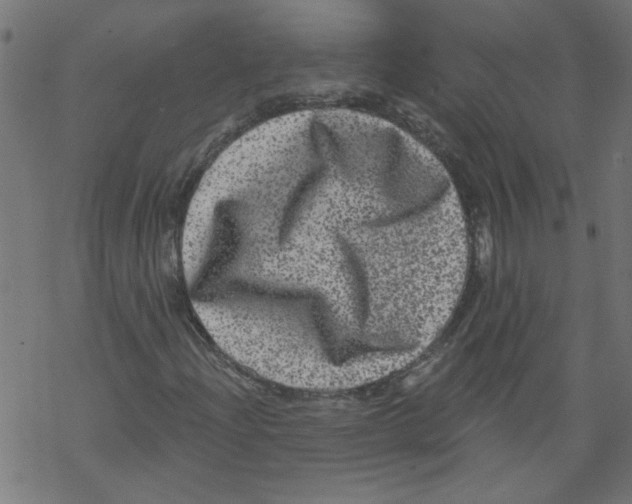 X0000067901204200605111908