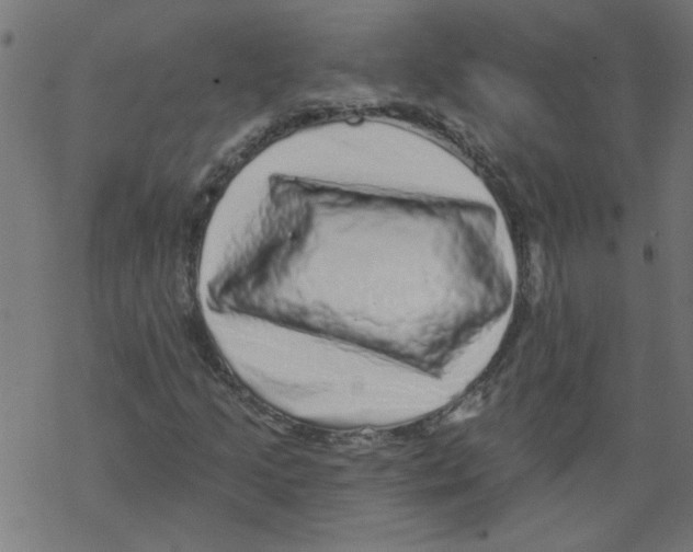 X0000067901205200605111908