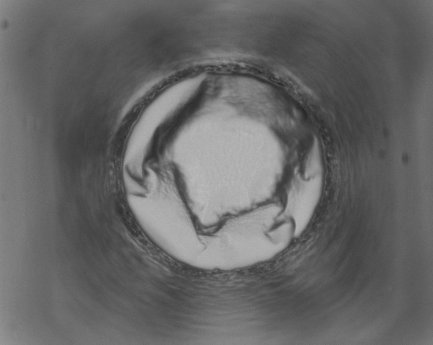 X0000067901208200605111908