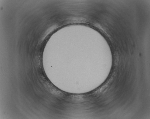 X0000067901211200605111908