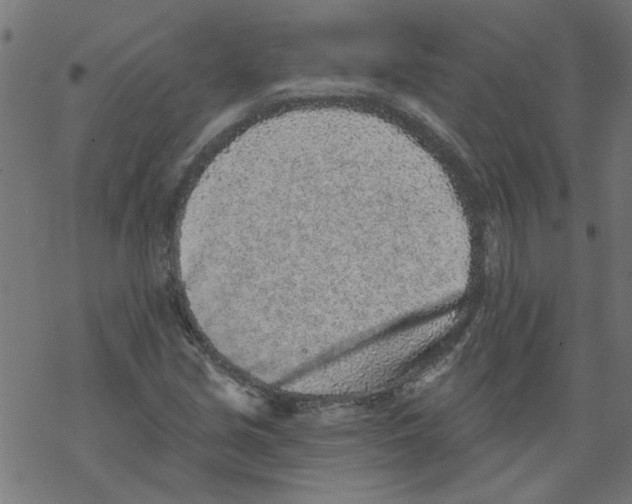 X0000067901213200605111908