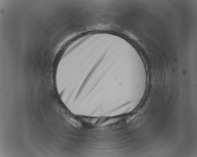 X0000067901214200605111908